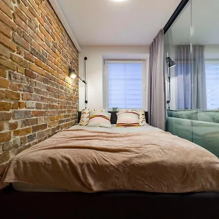 Dozen Kittens * Cracóvia