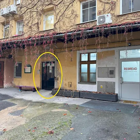 Dozen Kittens Apartamento *